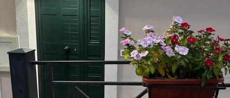 Une entrée d’immeuble avec une porte verte, un pot de fleurs et un portail en métal.