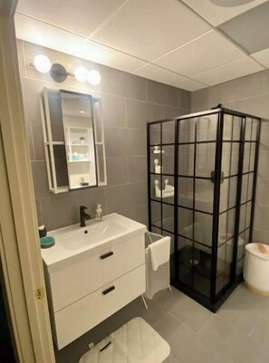Douche, séchoir à cheveux, serviettes fournies, savon