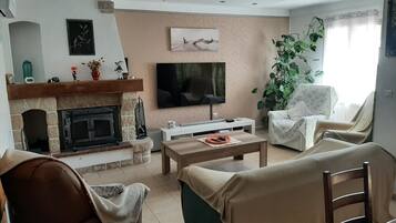 Smart-tv, een open haard, een dvd-speler en boeken