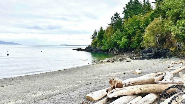 A beach with driftwood and trees. - Lookout @ SeaAcres -Beach Access (San Juan County)