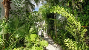 A narrow pathway flanked by lush tropical plants and a palm tree, leading towards a building with a white facade. - PRAIA Hotel Boutique Miami Beach (Miami Beach)