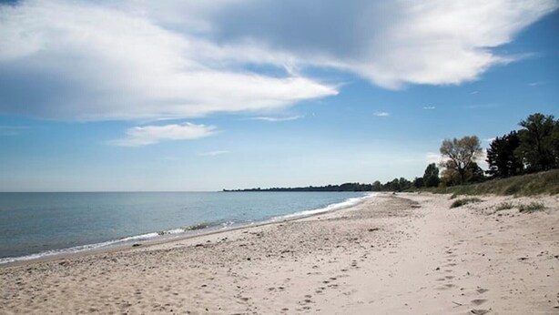A wide sandy beach with gentle waves, a clear sky, and a distant tree line. - Small house in cozy village near the sea (Ystad)