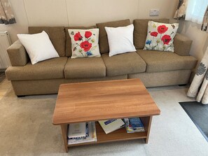 TV, DVD player, books, video library