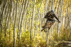 A mountain biker in mid-air on a trail surrounded by birch trees.