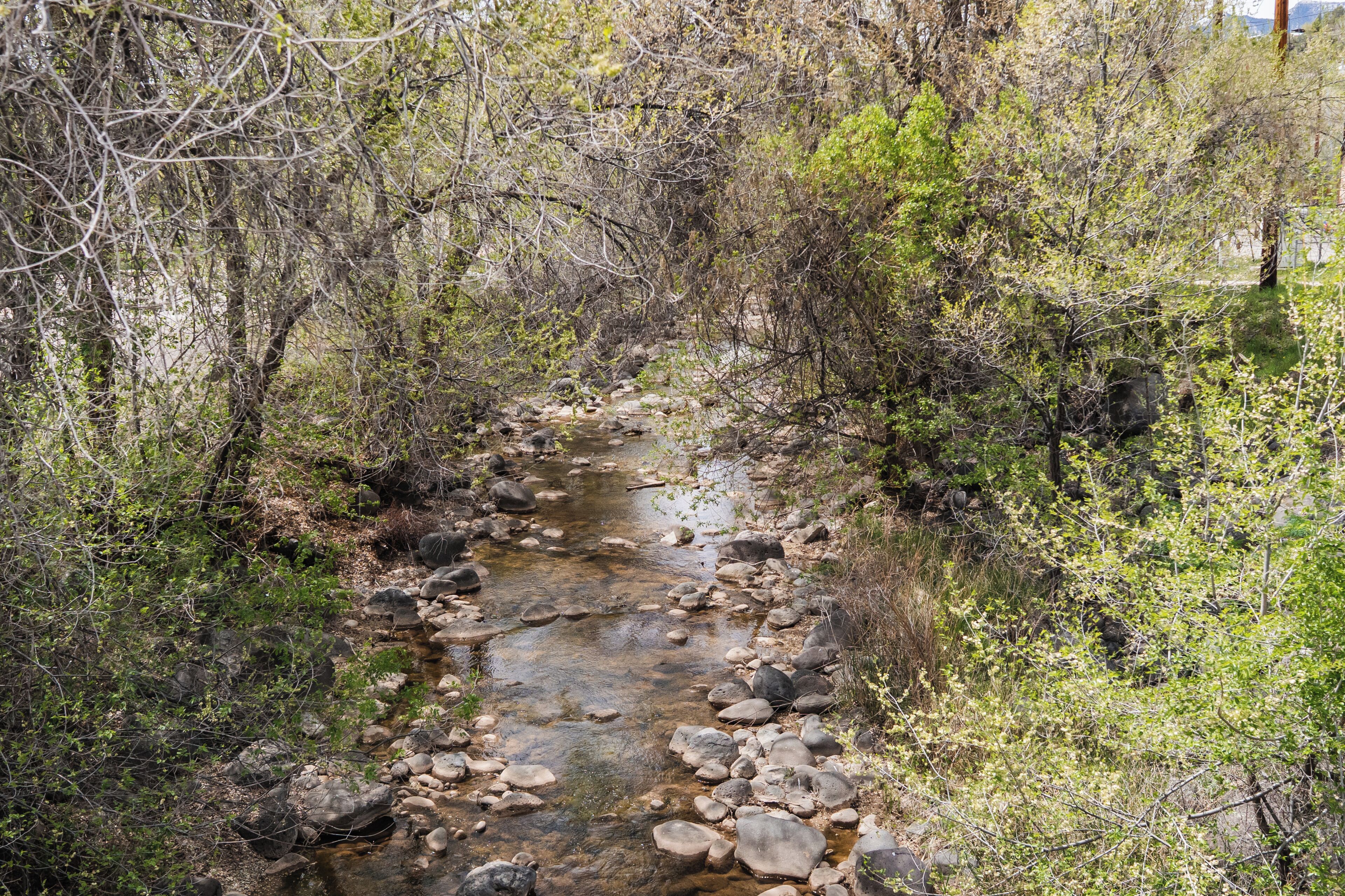 Un arroyo estrecho con rocas y vegetación escasa.
