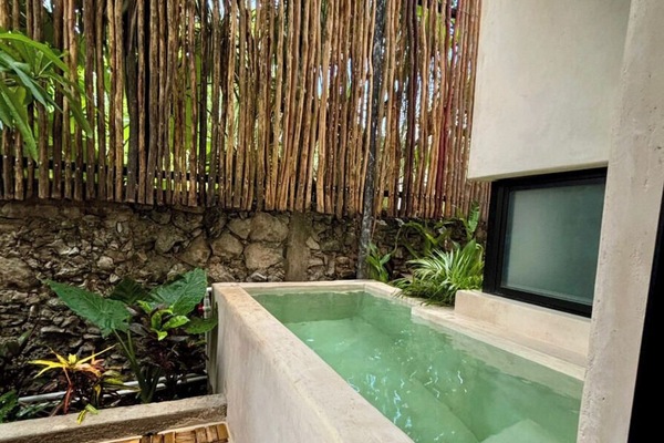 Habitación Premier | Terraza o patio