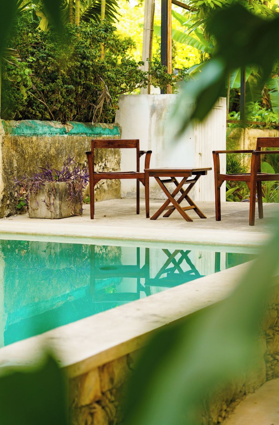 Un espace piscine agrémenté de chaises et d’une table en bois, entouré d’une végétation luxuriante et d’un mur blanc.