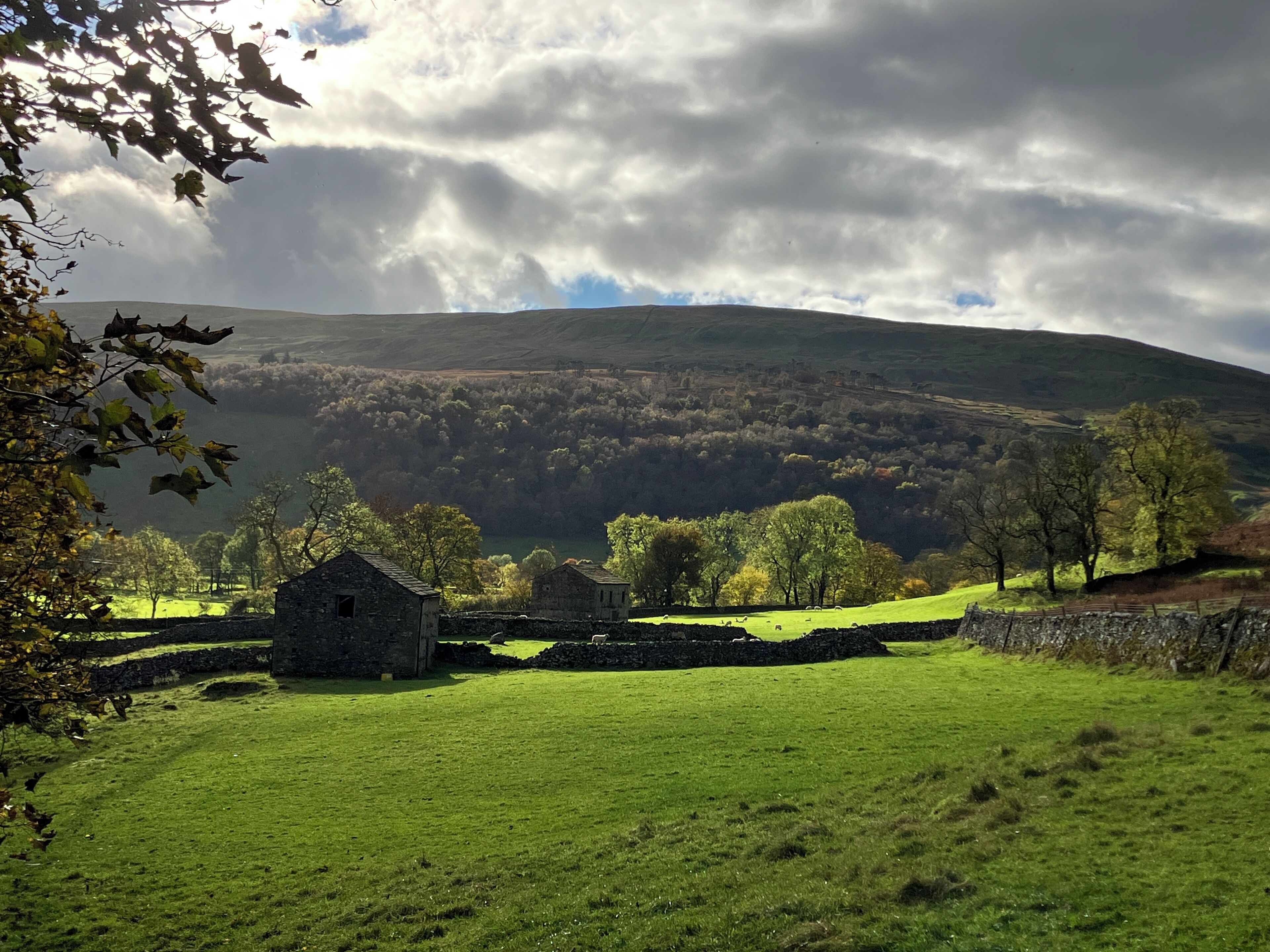 A rural landscape with a stone building, green fields, and a hill in the background.