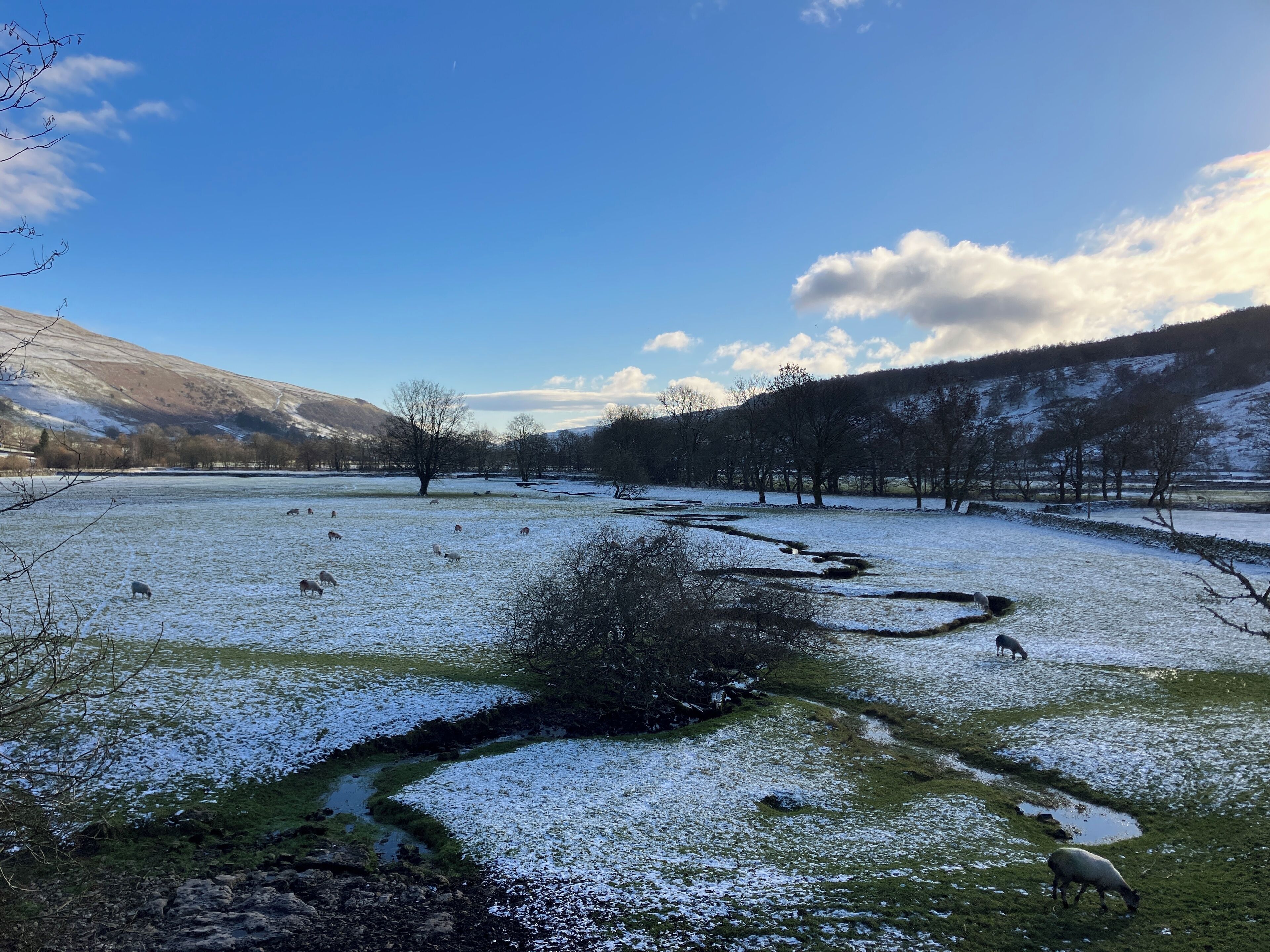 Shower, eco-friendly toiletries, hair dryer, towels
