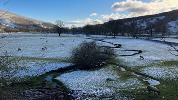 Shower, eco-friendly toiletries, hair dryer, towels