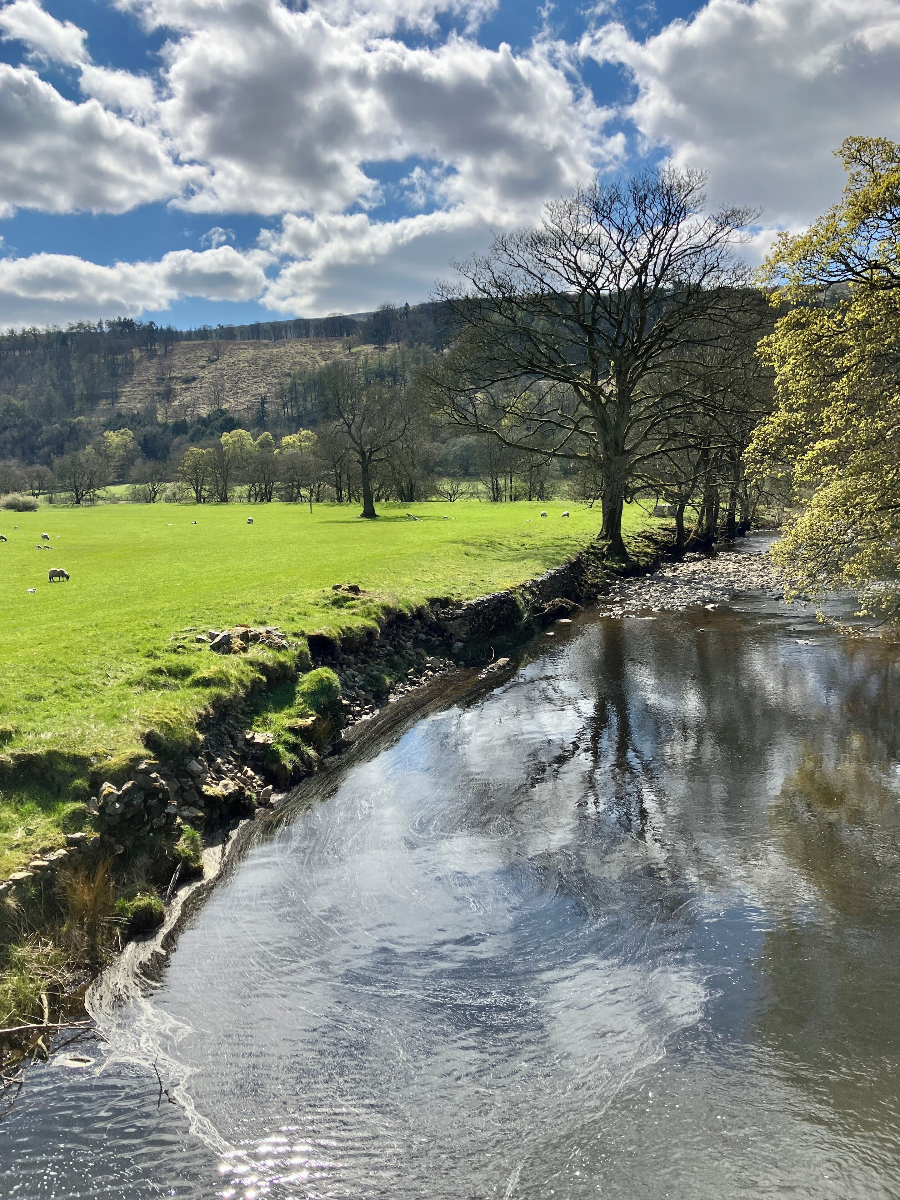 Un paysage rural avec un ruisseau, des champs verdoyants et des arbres.