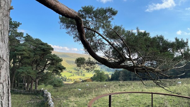 A scenic view from a balcony with a metal railing, overlooking a grassy field with trees and a stone wall. - The Yorkshire Dales Snug - Walkers' Delight - Pet Friendly (Buckden)