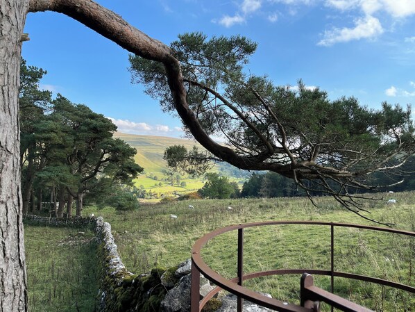 Property grounds - The Snug - Perfect for Walkers - Pet Friendly (Buckden)