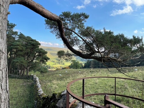 The Yorkshire Dales Snug - Walkers' Delight - Pet Friendly