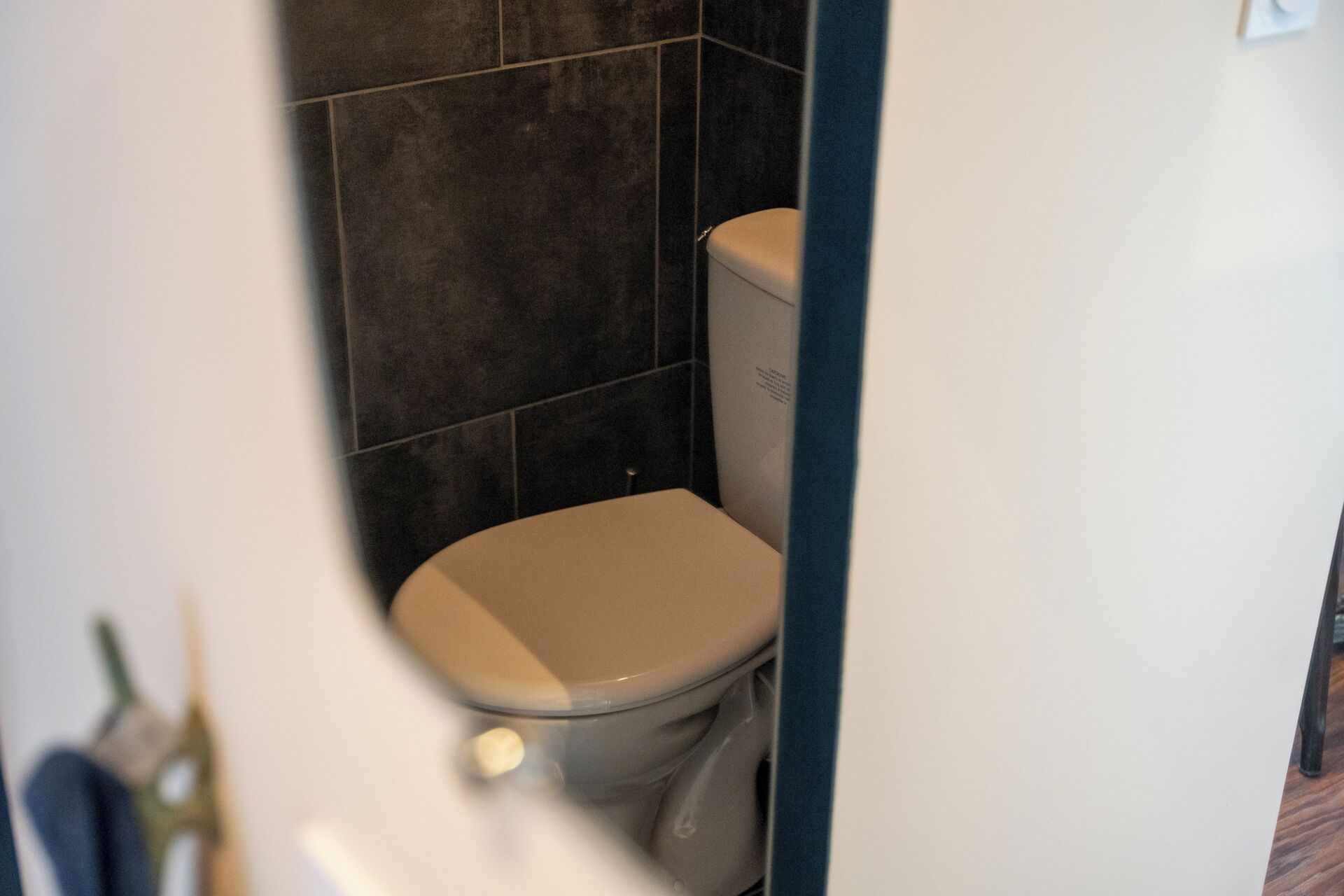 Une salle de bain avec des toilettes, des murs recouverts de carreaux sombres et une porte blanche.