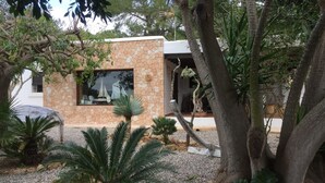 Una casa moderna con fachada de piedra, un ventanal visible y un jardín de grava con palmeras.