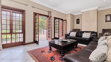 TV connectée, cheminée, livres, chaîne hi-fi