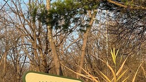 Un panneau indiquant le point de vue de Valley Overlook, situé au campement Mueller, et précisant les services d’hébergement et de camping disponibles.