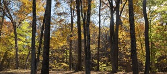 Valley Overlook - Peninsula, Ohio - Glamping Tent  P8 - in the heart of CVNP
