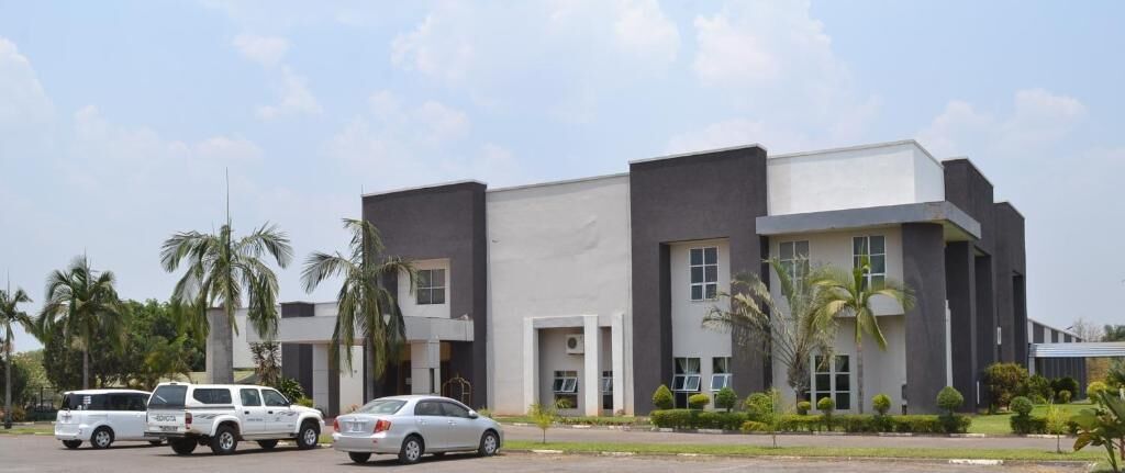 Un edificio moderno con tetto piatto e ampie finestre, circondato da palme e auto parcheggiate.