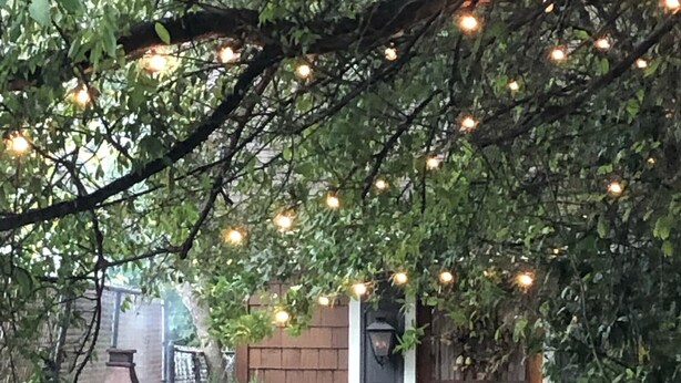 A garden with a wooden fence, a white chair, and a pathway leading to a house with a brown door. - Romantic Secret Cottage near downtown Carthage (Carthage)