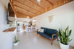 Smart TV, video games, offices, computer monitors