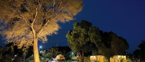 A well-lit outdoor area with a large tree, a white vehicle, and a building with a lit facade.