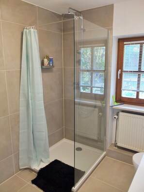 Shower, hair dryer, towels, soap