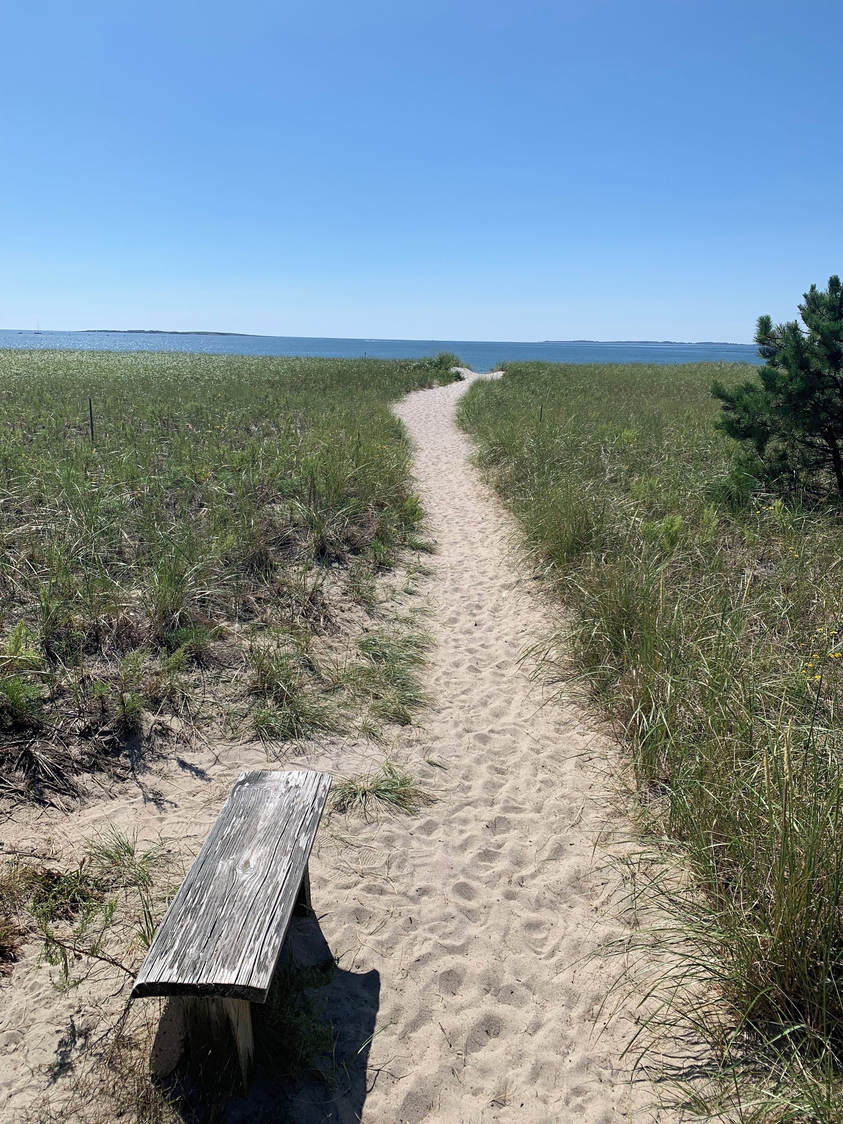 Sun-loungers, beach towels