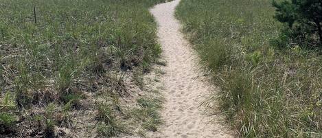 Camastros y toallas de playa