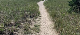 Updated Cottage - Steps to Pine Point Beach!