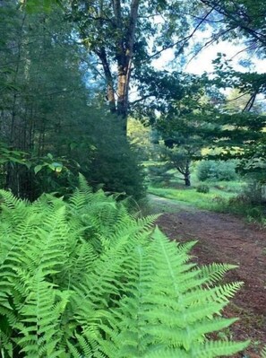 Property grounds - Peaceful, Cabin Near Oneida Lake / Salmon River (Camden)