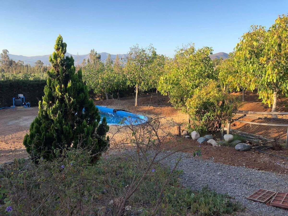 Un jardin avec une piscine, entouré d’arbres et avec une petite colline en arrière-plan.