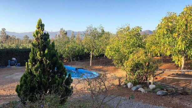 Ein Garten mit Schwimmbecken, umgeben von Bäumen und einer kleinen Anhöhe im Hintergrund.