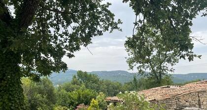 Maison de Style Provençale en Plein CĆur du Luberon
