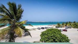 A beach view with a parking area, palm trees, and a clear blue sky.