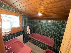 Ducha, secador de pelo, toallas y jabón