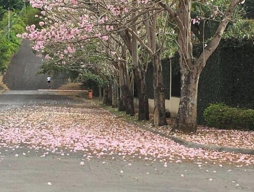 Conveniente Ubicación en Zona muy Silenciosa