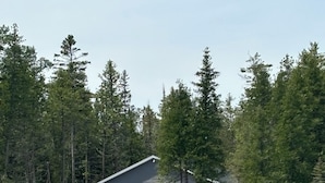 A cabin by a lake, surrounded by trees. - Beautiful, waterfront home located on the St Mary’s River, fisherman’s dream  (De Tour Village)