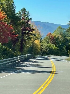 Sports court - Dawdy House-Hidden Gem in Smokies Cozy Cabin Pigeon Forge Gatlinburg, W. Valley (Sevierville)