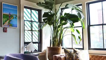 A room with a large potted plant, a painting, and a sofa with patterned cushions.