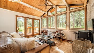 Smart TV, fireplace, ping pong, books