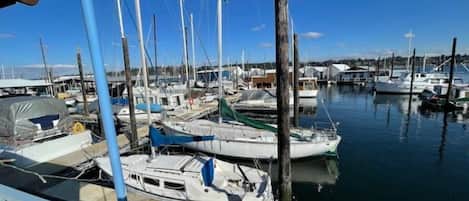 Marina