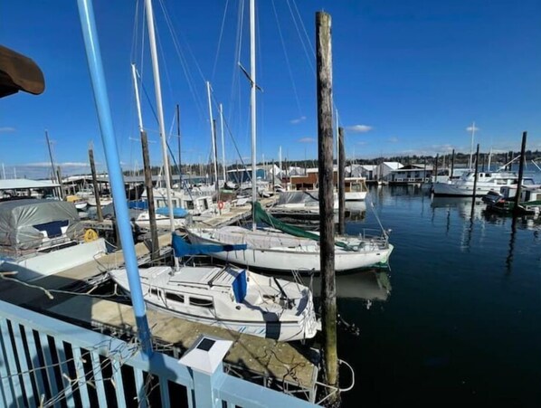 Marina