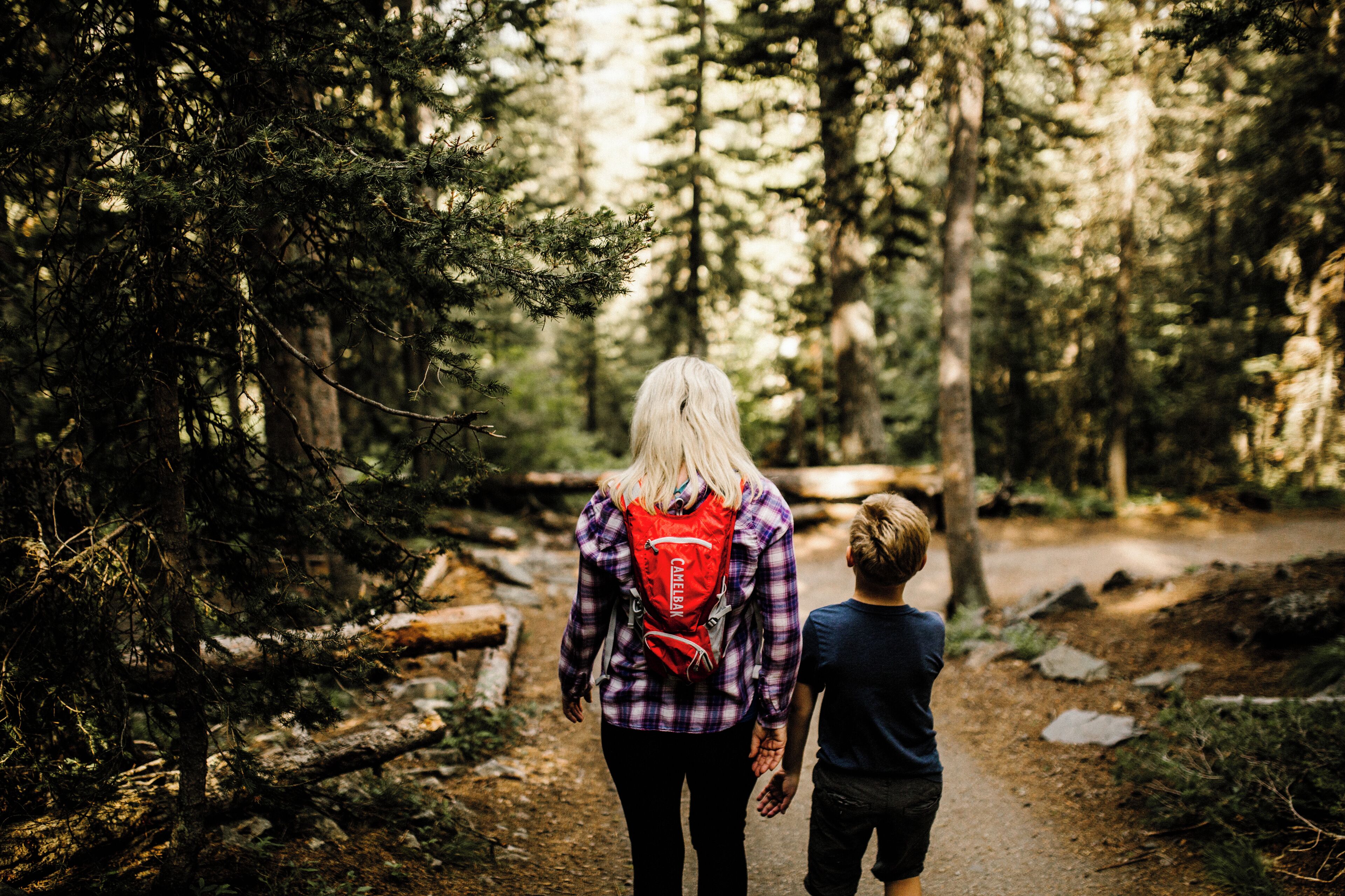 A forest path with a woman and a child walking together.