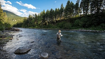 Una persona de pie en un río rodeada de un bosque denso y montañas.
