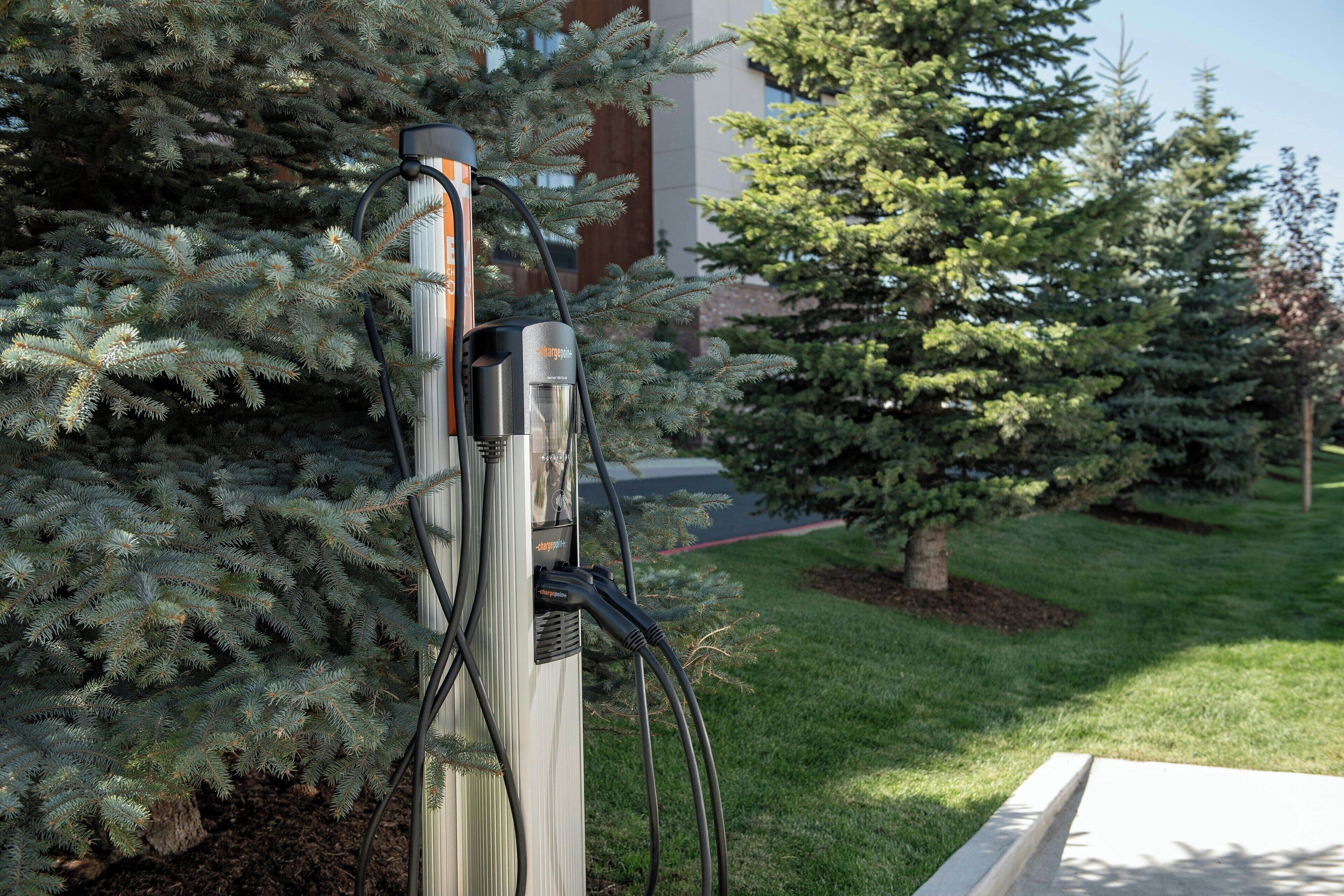 Foto - Courtyard by Marriott Bozeman