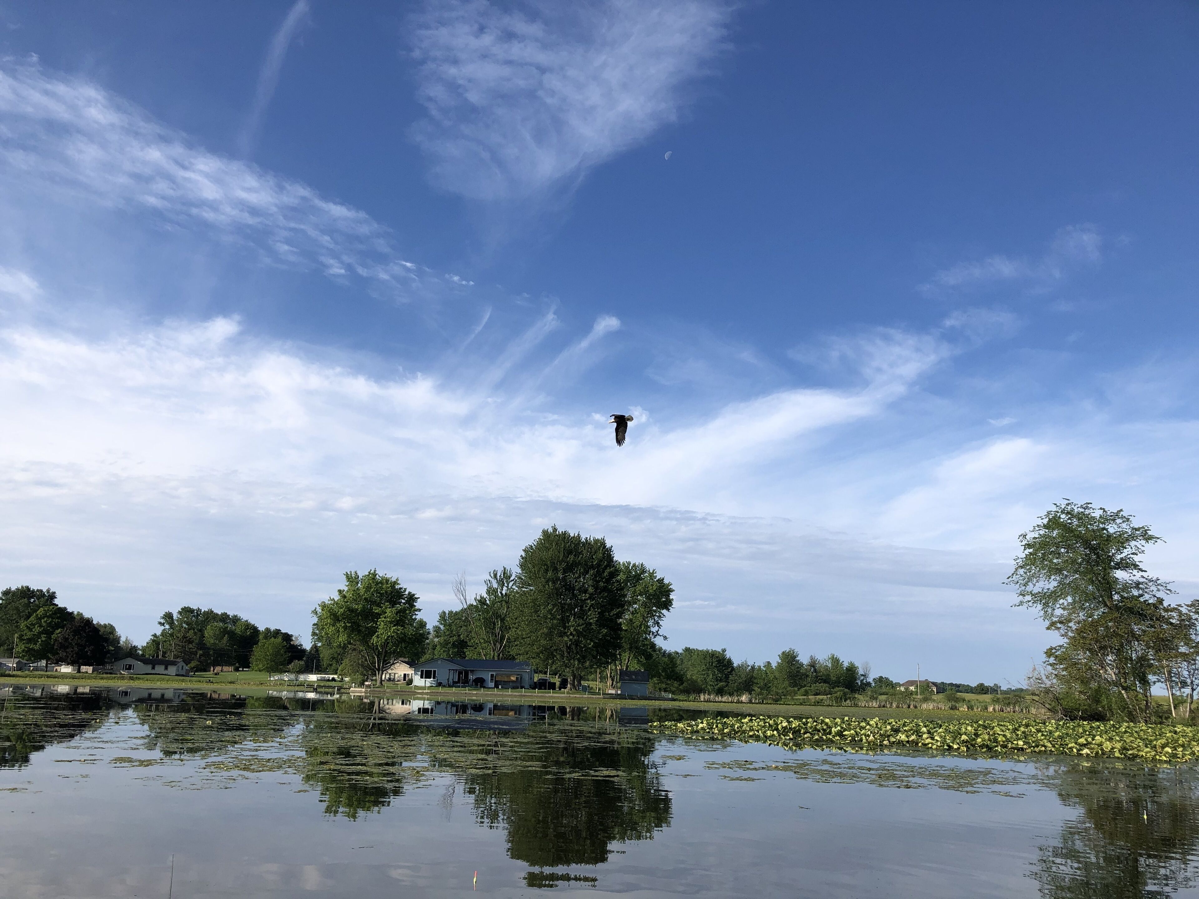 Un lac paisible aux eaux reflétant le paysage, un ciel dégagé et un oiseau lointain.