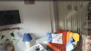 Smart TV, DVD player, books