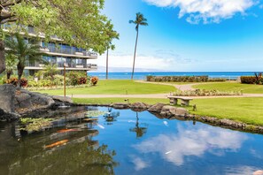 Property grounds - Ocean View steps from beach, dining, shopping 1215 (Lahaina)